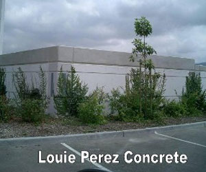Plants beside a Concrete Road