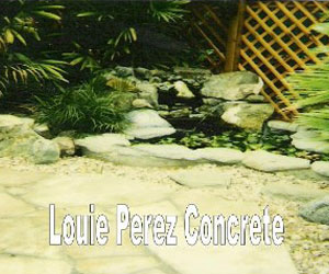 A Small Garden and Pond