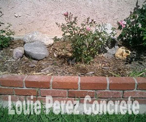 Plants and Stones on Brick Bed