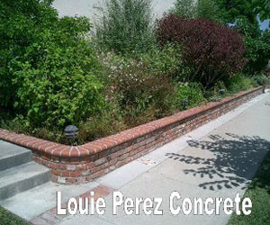 Brick Bedway with Different Color Plants